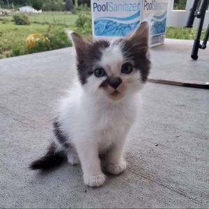 Meet your Posher, Karly